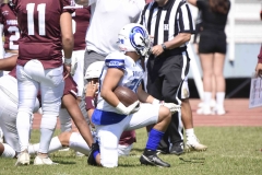 burros-blancos-borregos-gdl-onefa-2024-33