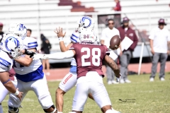 burros-blancos-borregos-gdl-onefa-2024-35