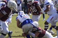 burros-blancos-borregos-gdl-onefa-2024-4