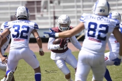 burros-blancos-borregos-gdl-onefa-2024-48