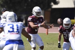 burros-blancos-borregos-gdl-onefa-2024-51