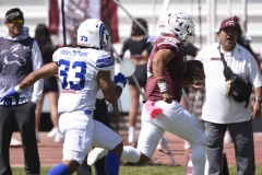 burros-blancos-borregos-gdl-onefa-2024-52