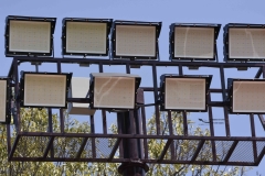 burros-blancos-borregos-gdl-onefa-2024-54