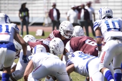 burros-blancos-borregos-gdl-onefa-2024-57