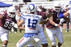 burros-blancos-borregos-gdl-onefa-2024-60