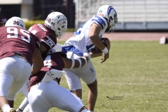 burros-blancos-borregos-gdl-onefa-2024-61