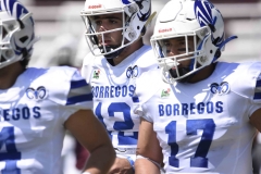 burros-blancos-borregos-gdl-onefa-2024-66