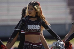 burros-blancos-borregos-gdl-onefa-2024-69