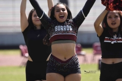 burros-blancos-borregos-gdl-onefa-2024-71