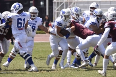 burros-blancos-borregos-gdl-onefa-2024-72