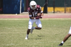 burros-blancos-borregos-gdl-onefa-2024-74