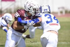 burros-blancos-borregos-gdl-onefa-2024-75