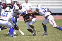 burros-blancos-borregos-gdl-onefa-2024-76