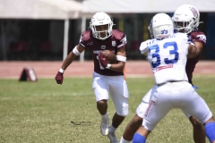 burros-blancos-borregos-gdl-onefa-2024-78