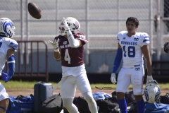 burros-blancos-borregos-gdl-onefa-2024-8