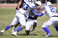 burros-blancos-borregos-gdl-onefa-2024-80