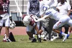 burros-blancos-borregos-gdl-onefa-2024-81