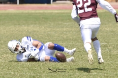 burros-blancos-borregos-gdl-onefa-2024-85