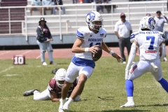 burros-blancos-borregos-gdl-onefa-2024-89