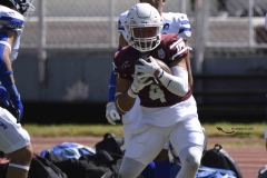 burros-blancos-borregos-gdl-onefa-2024-9