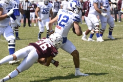 burros-blancos-borregos-gdl-onefa-2024-90