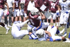 burros-blancos-borregos-gdl-onefa-2024-92