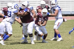 burros-blancos-borregos-gdl-onefa-2024-94