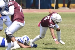 burros-blancos-borregos-gdl-onefa-2024-95