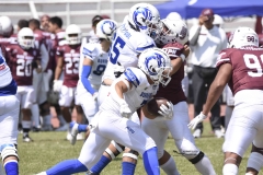 burros-blancos-borregos-gdl-onefa-2024-98