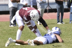 burros-blancos-borregos-gdl-onefa-2024-99