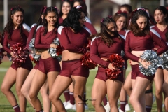 burros-blancos-borregos-puebla-2023-onefa-101