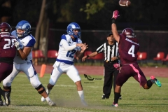 burros-blancos-borregos-puebla-2023-onefa-110