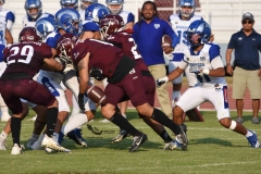 burros-blancos-borregos-puebla-2023-onefa-112