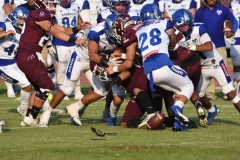 burros-blancos-borregos-puebla-2023-onefa-113