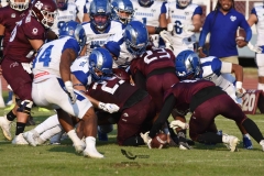 burros-blancos-borregos-puebla-2023-onefa-114