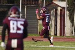 burros-blancos-borregos-puebla-2023-onefa-119