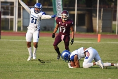 burros-blancos-borregos-puebla-2023-onefa-122