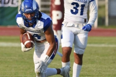 burros-blancos-borregos-puebla-2023-onefa-123