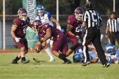 burros-blancos-borregos-puebla-2023-onefa-125