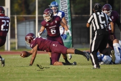 burros-blancos-borregos-puebla-2023-onefa-126