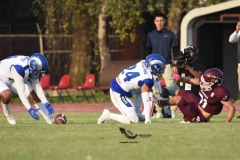 burros-blancos-borregos-puebla-2023-onefa-127