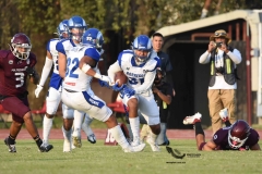 burros-blancos-borregos-puebla-2023-onefa-128