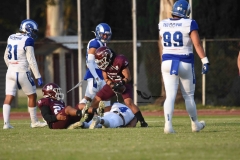 burros-blancos-borregos-puebla-2023-onefa-129