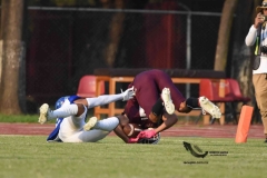 burros-blancos-borregos-puebla-2023-onefa-130
