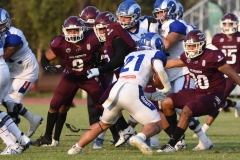 burros-blancos-borregos-puebla-2023-onefa-131