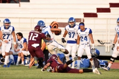 burros-blancos-borregos-puebla-2023-onefa-132