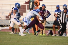 burros-blancos-borregos-puebla-2023-onefa-133
