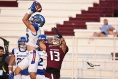 burros-blancos-borregos-puebla-2023-onefa-134
