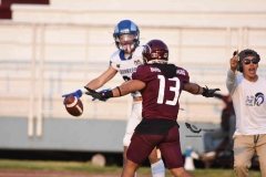 burros-blancos-borregos-puebla-2023-onefa-136