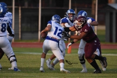burros-blancos-borregos-puebla-2023-onefa-138